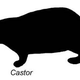 Image for article titled North America Was Once Full Of Super Tiny Beavers, And Super Giant Ones